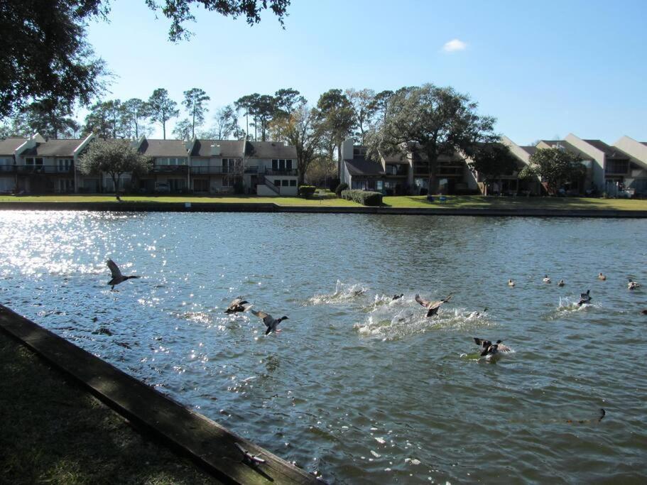 Lakeside Daze! Montgomery Exterior photo