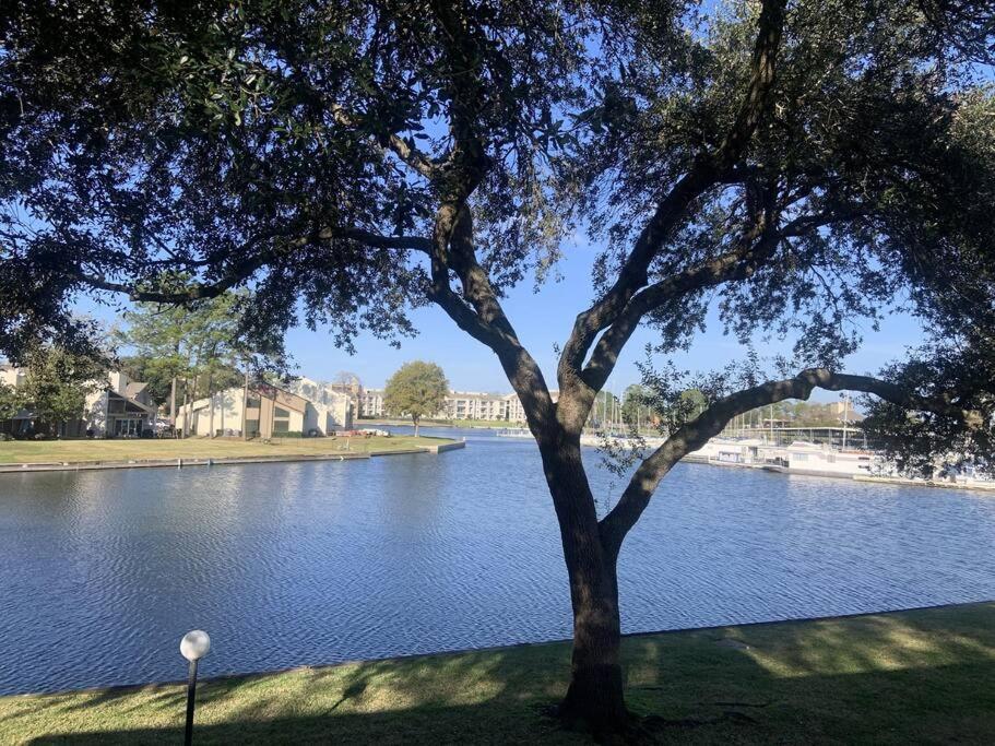 Lakeside Daze! Montgomery Exterior photo